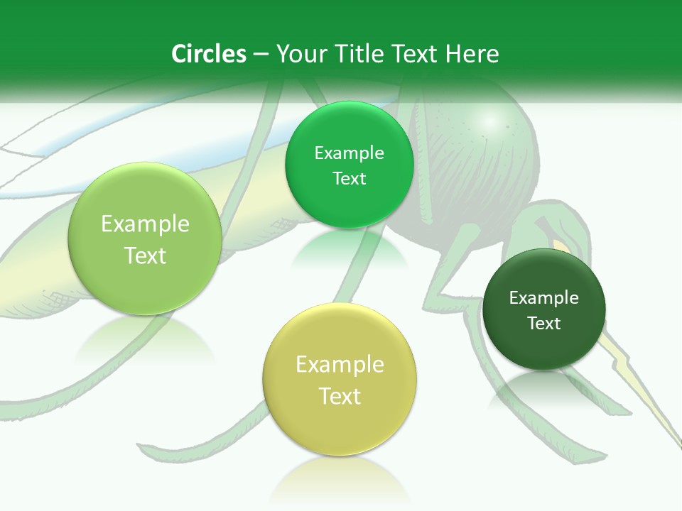 A Picture Of A Green Insect On A White Background PowerPoint Template