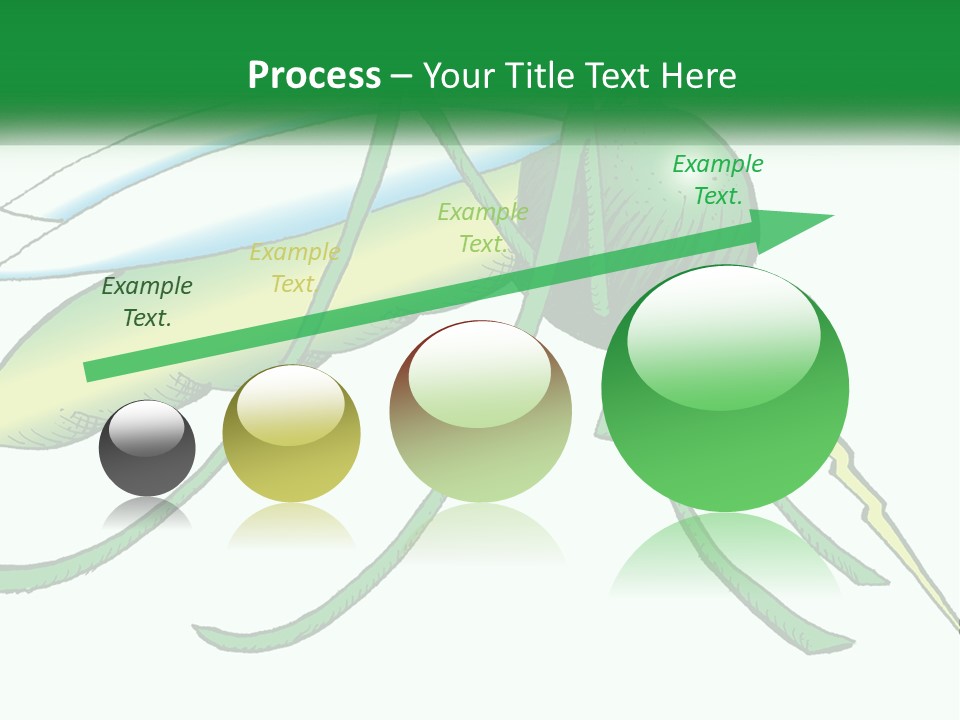 A Picture Of A Green Insect On A White Background PowerPoint Template