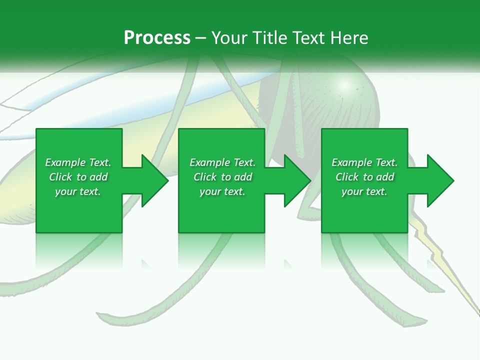 A Picture Of A Green Insect On A White Background PowerPoint Template