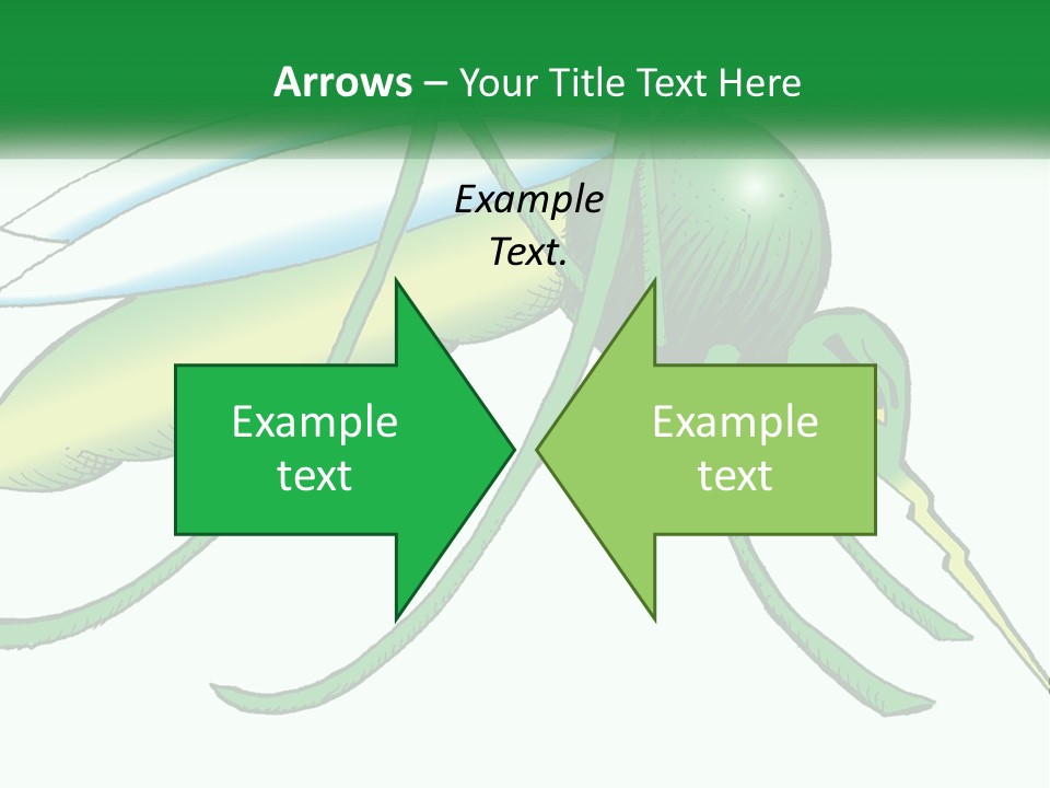 A Picture Of A Green Insect On A White Background PowerPoint Template