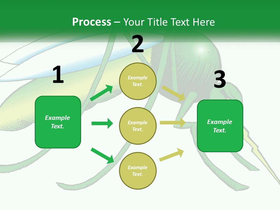 A Picture Of A Green Insect On A White Background PowerPoint Template