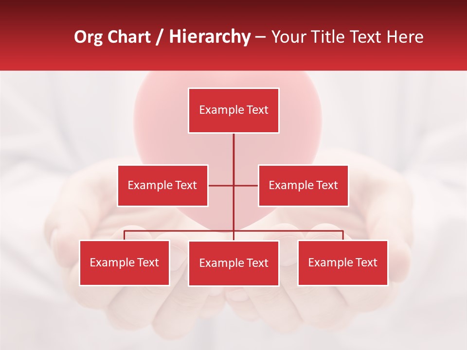 A Person Holding A Red Heart In Their Hands PowerPoint Template
