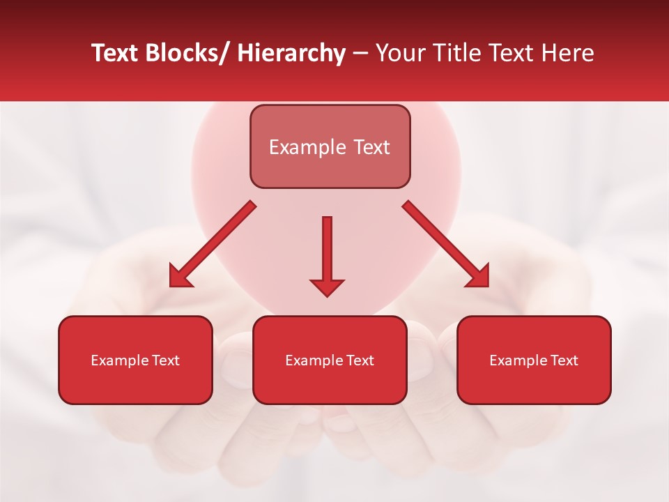 A Person Holding A Red Heart In Their Hands PowerPoint Template