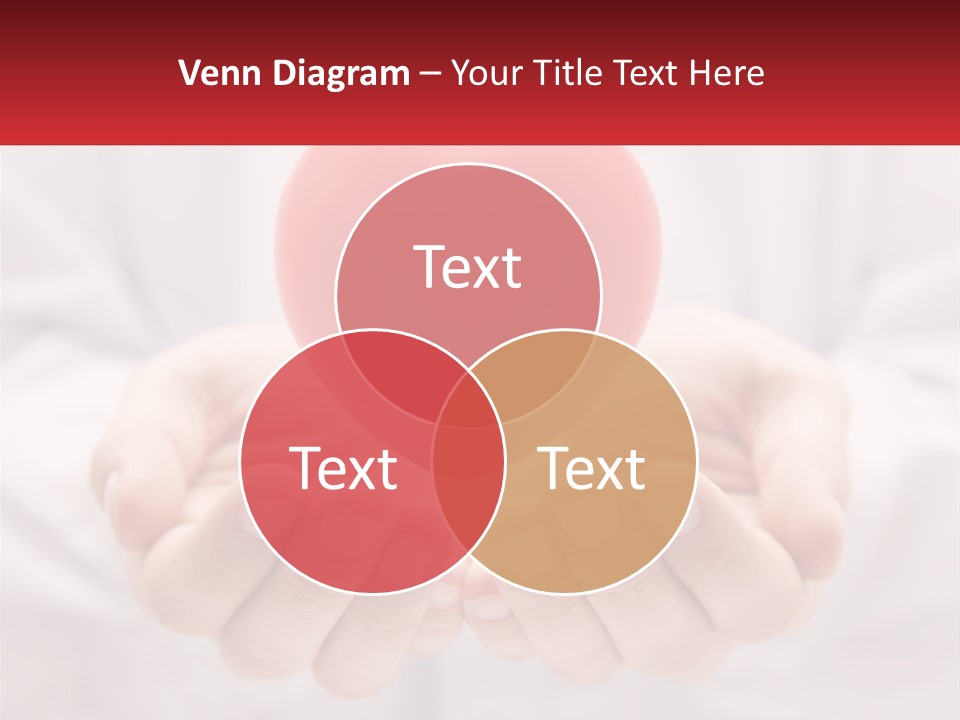 A Person Holding A Red Heart In Their Hands PowerPoint Template