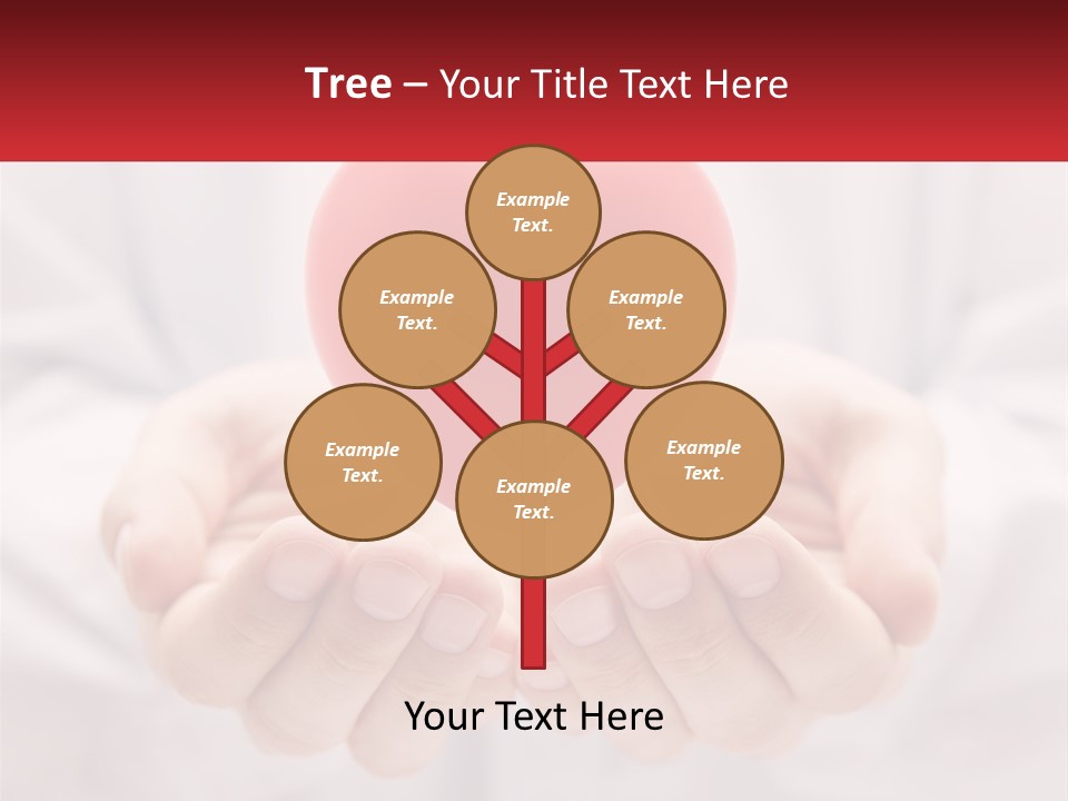 A Person Holding A Red Heart In Their Hands PowerPoint Template