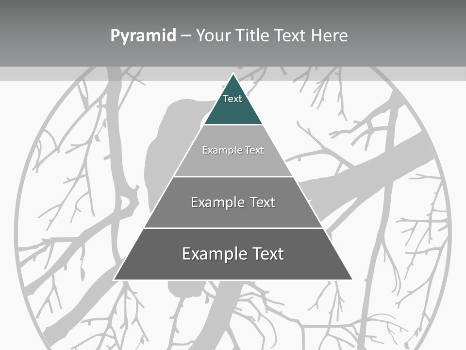 A Bird Sitting On A Tree Branch In A Circle PowerPoint Template
