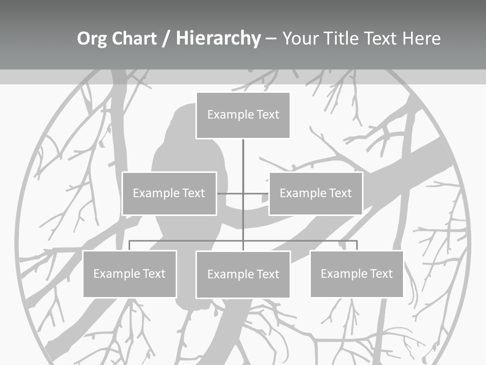 A Bird Sitting On A Tree Branch In A Circle PowerPoint Template