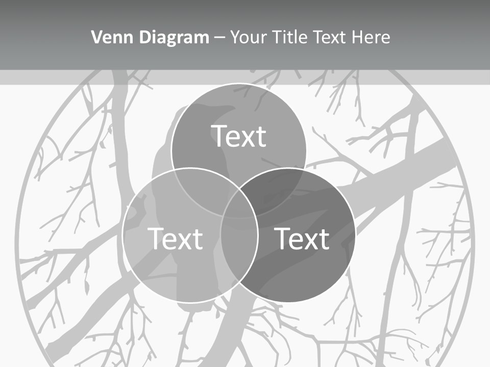 A Bird Sitting On A Tree Branch In A Circle PowerPoint Template