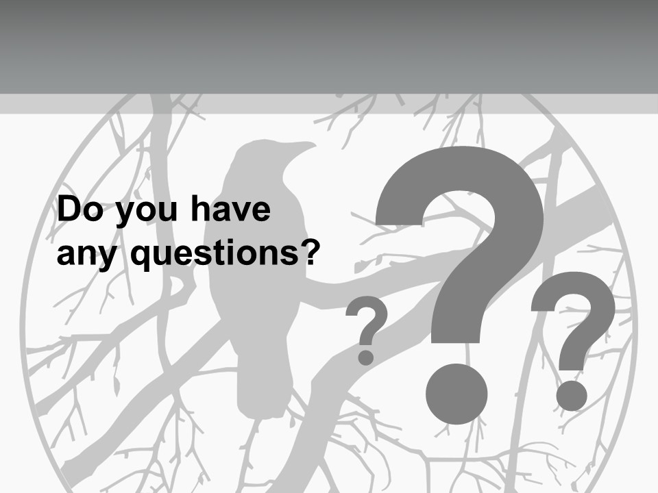 A Bird Sitting On A Tree Branch In A Circle PowerPoint Template