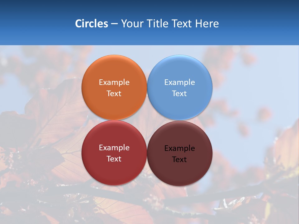 A Tree With Red Leaves And Blue Sky In The Background PowerPoint Template