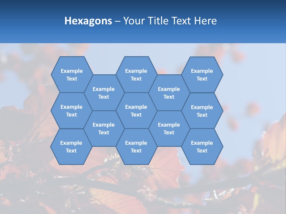 A Tree With Red Leaves And Blue Sky In The Background PowerPoint Template