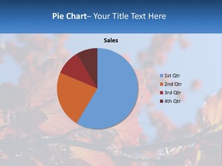 A Tree With Red Leaves And Blue Sky In The Background PowerPoint Template