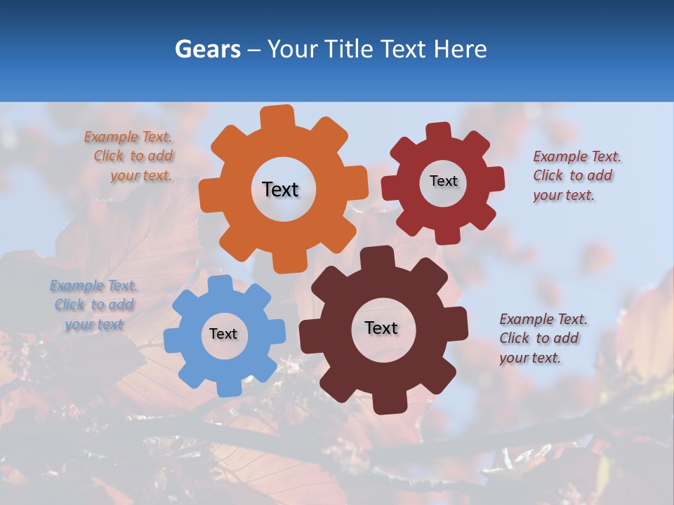 A Tree With Red Leaves And Blue Sky In The Background PowerPoint Template