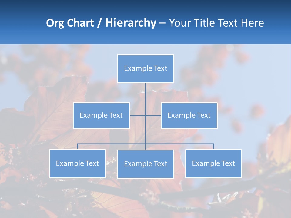 A Tree With Red Leaves And Blue Sky In The Background PowerPoint Template