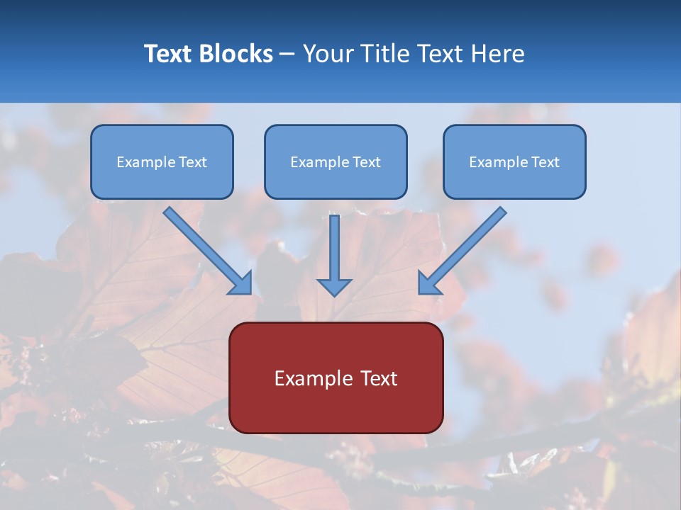 A Tree With Red Leaves And Blue Sky In The Background PowerPoint Template