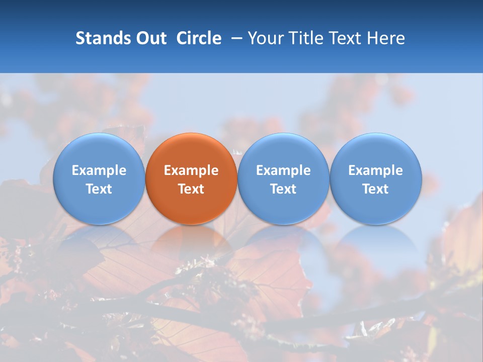 A Tree With Red Leaves And Blue Sky In The Background PowerPoint Template