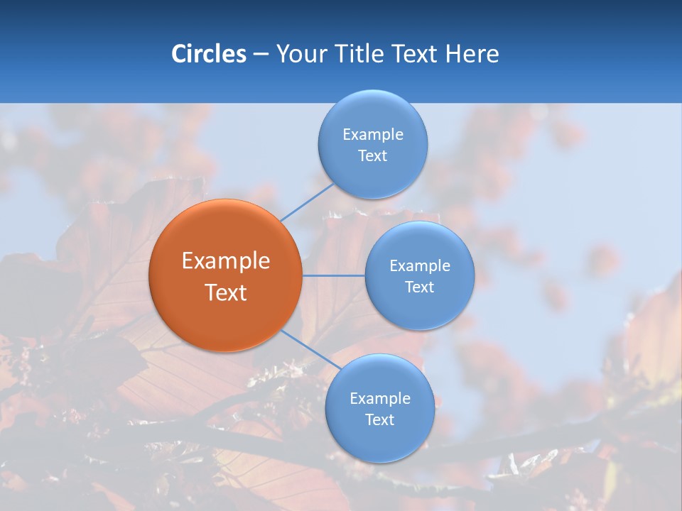 A Tree With Red Leaves And Blue Sky In The Background PowerPoint Template