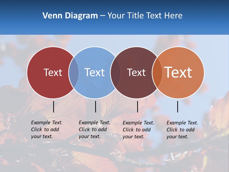 A Tree With Red Leaves And Blue Sky In The Background PowerPoint Template