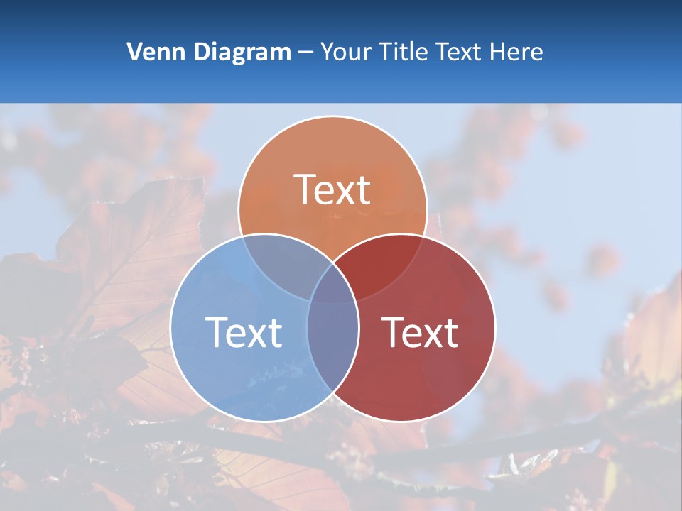 A Tree With Red Leaves And Blue Sky In The Background PowerPoint Template