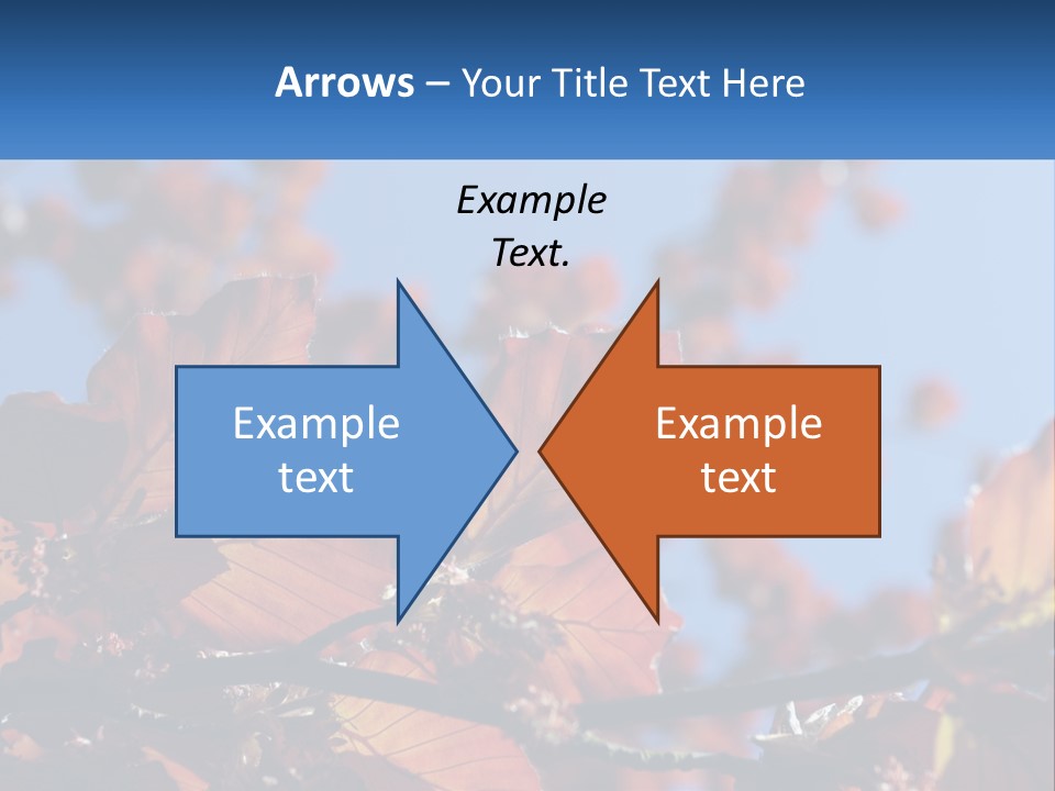 A Tree With Red Leaves And Blue Sky In The Background PowerPoint Template