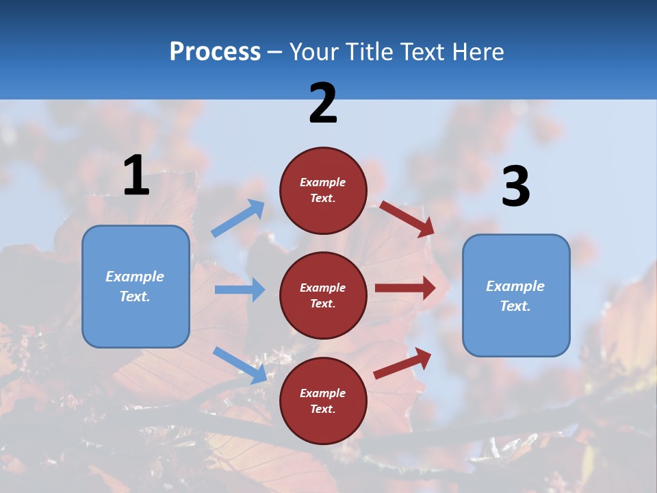 A Tree With Red Leaves And Blue Sky In The Background PowerPoint Template