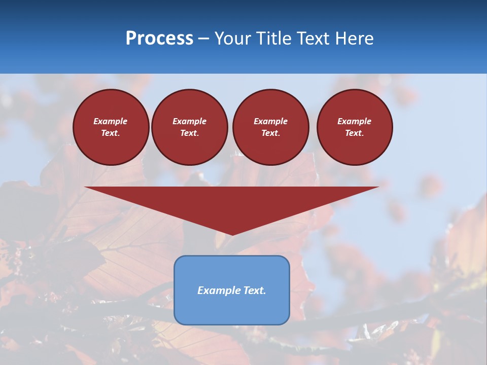 A Tree With Red Leaves And Blue Sky In The Background PowerPoint Template