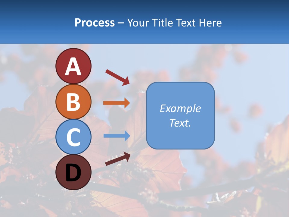 A Tree With Red Leaves And Blue Sky In The Background PowerPoint Template