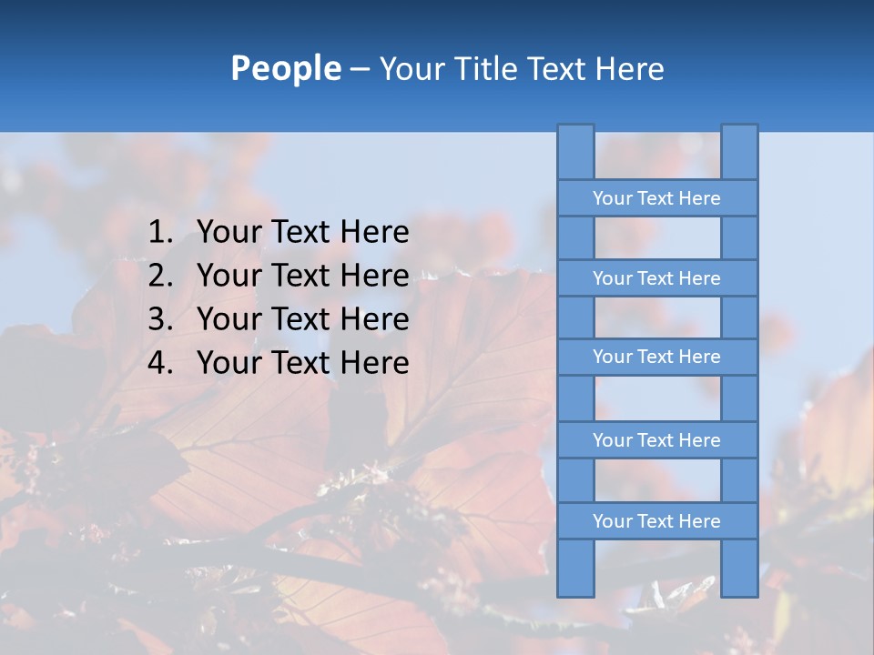 A Tree With Red Leaves And Blue Sky In The Background PowerPoint Template