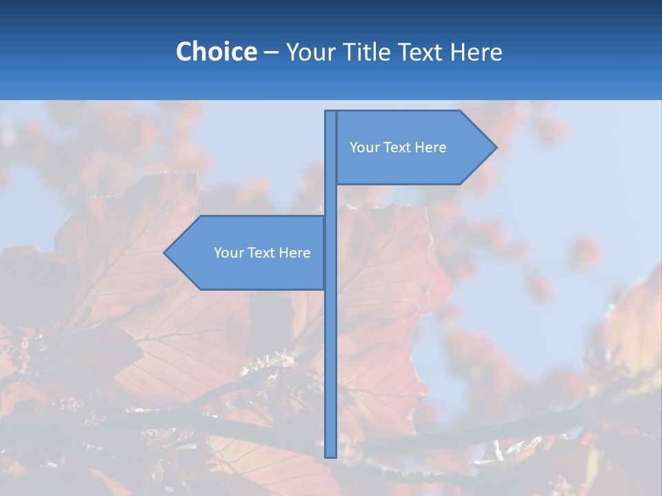 A Tree With Red Leaves And Blue Sky In The Background PowerPoint Template