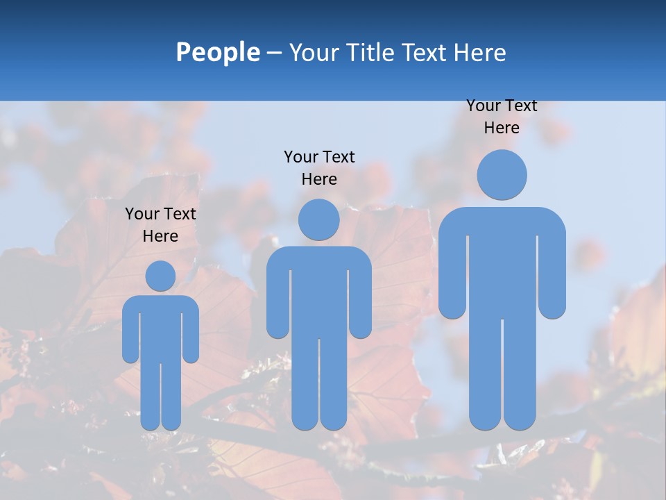 A Tree With Red Leaves And Blue Sky In The Background PowerPoint Template