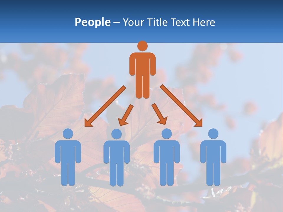 A Tree With Red Leaves And Blue Sky In The Background PowerPoint Template