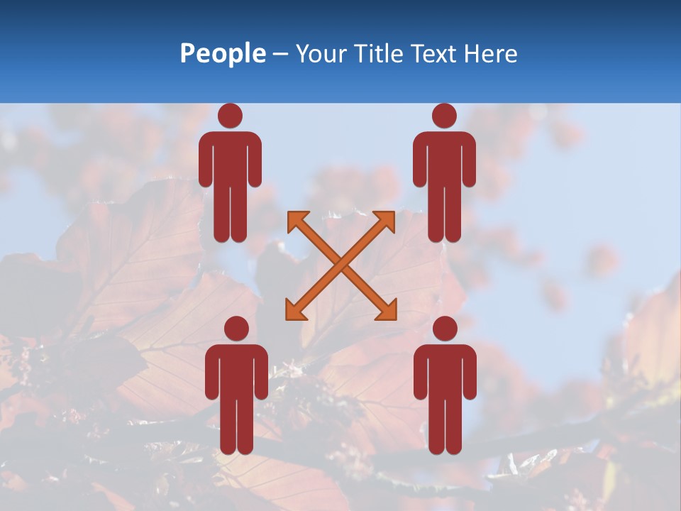 A Tree With Red Leaves And Blue Sky In The Background PowerPoint Template
