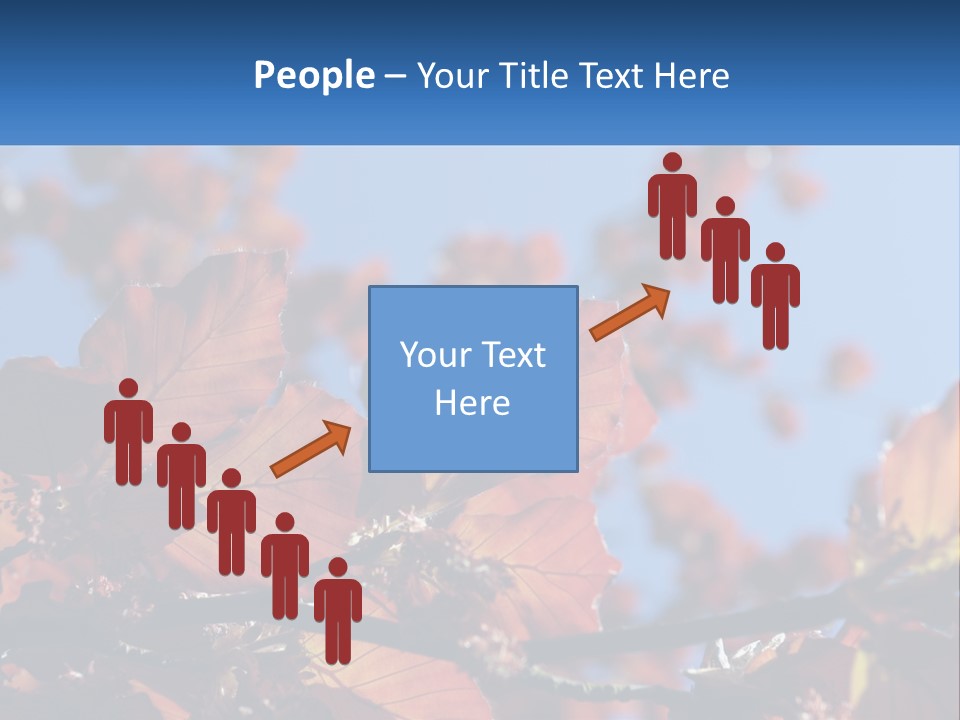 A Tree With Red Leaves And Blue Sky In The Background PowerPoint Template