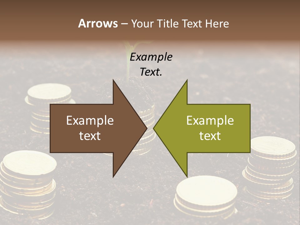 A Plant Growing Out Of A Pile Of Coins PowerPoint Template