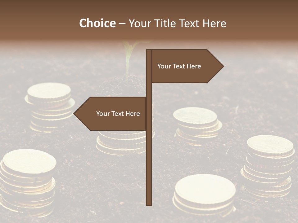 A Plant Growing Out Of A Pile Of Coins PowerPoint Template