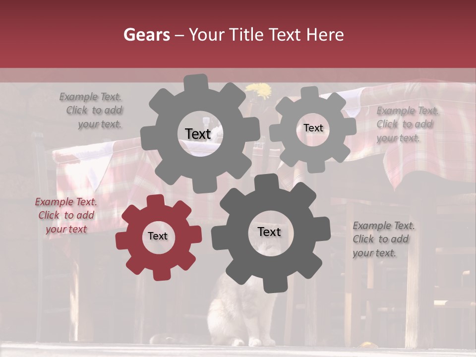 A Cat Sitting On The Ground In Front Of A Table PowerPoint Template