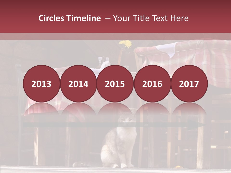 A Cat Sitting On The Ground In Front Of A Table PowerPoint Template