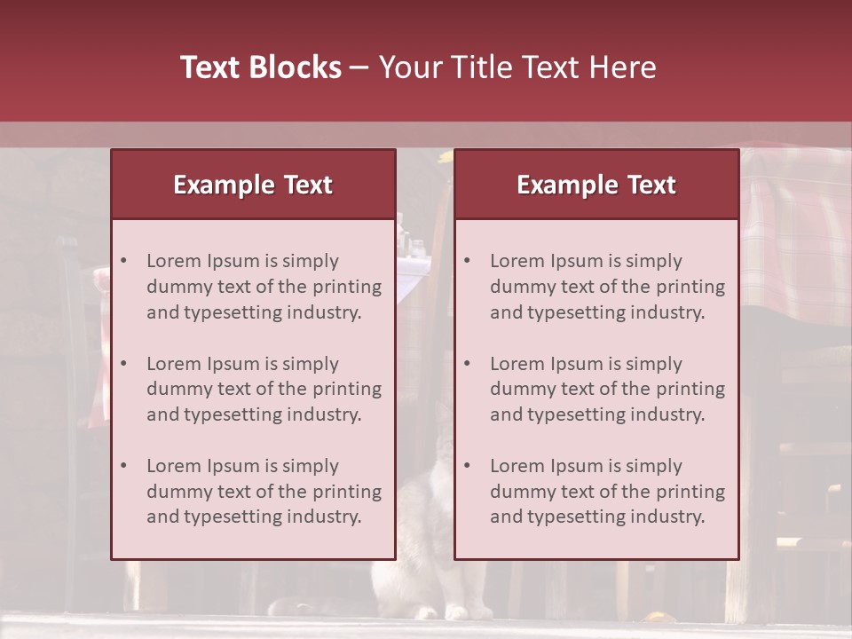 A Cat Sitting On The Ground In Front Of A Table PowerPoint Template