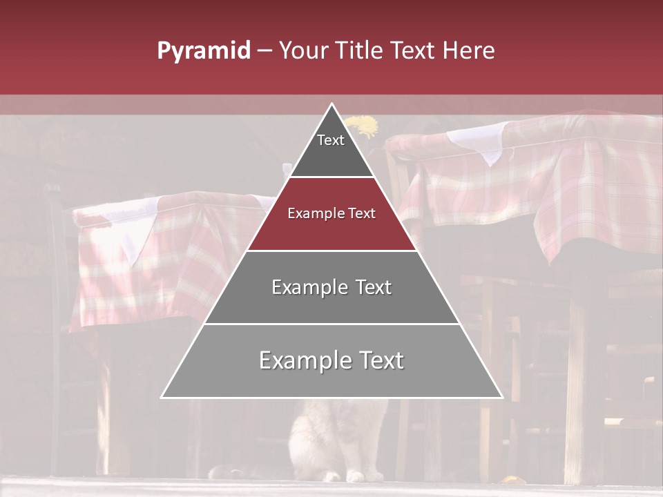 A Cat Sitting On The Ground In Front Of A Table PowerPoint Template