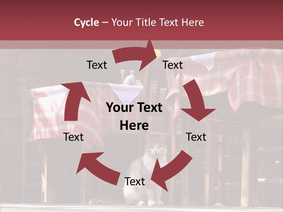 A Cat Sitting On The Ground In Front Of A Table PowerPoint Template