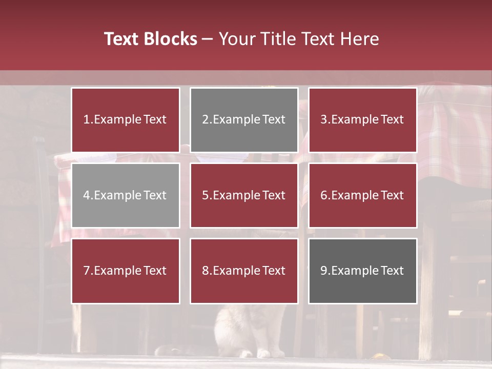 A Cat Sitting On The Ground In Front Of A Table PowerPoint Template