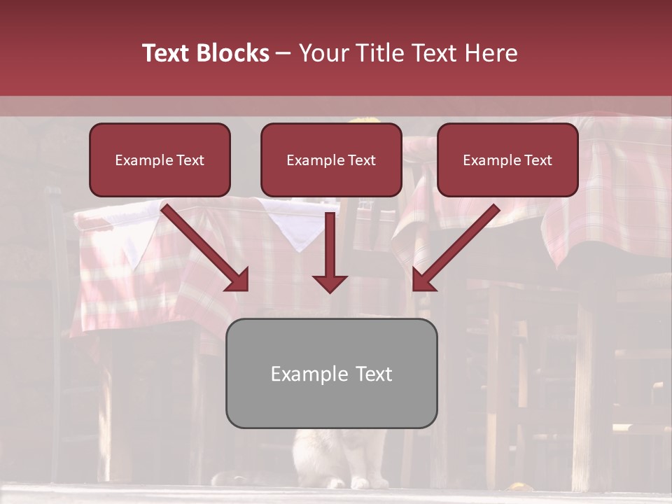 A Cat Sitting On The Ground In Front Of A Table PowerPoint Template