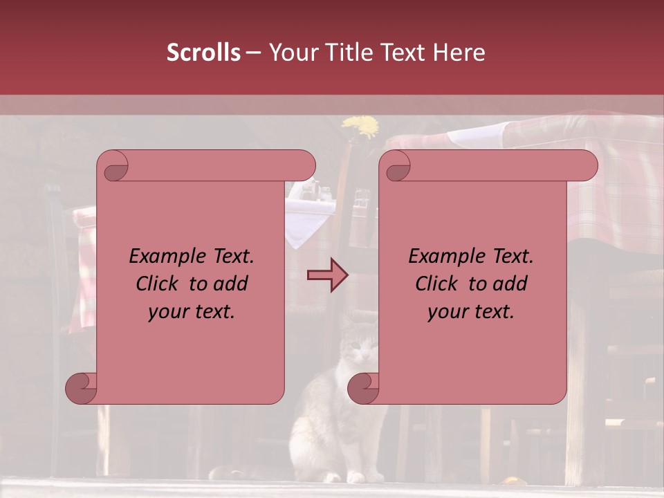 A Cat Sitting On The Ground In Front Of A Table PowerPoint Template