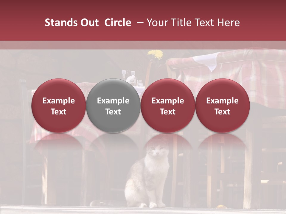 A Cat Sitting On The Ground In Front Of A Table PowerPoint Template