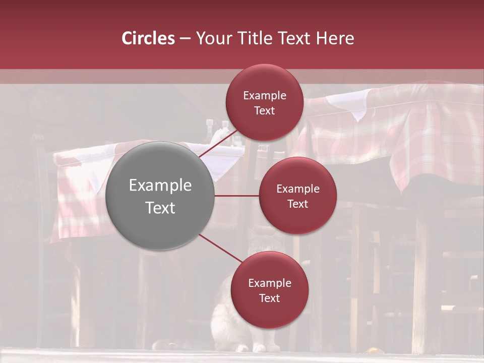 A Cat Sitting On The Ground In Front Of A Table PowerPoint Template