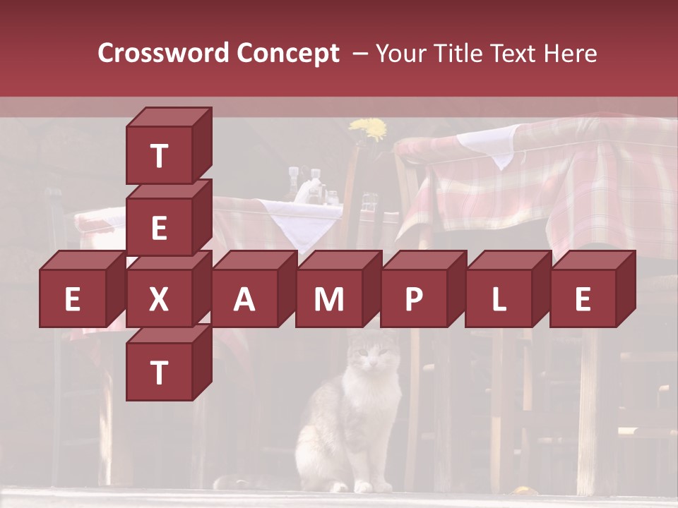 A Cat Sitting On The Ground In Front Of A Table PowerPoint Template