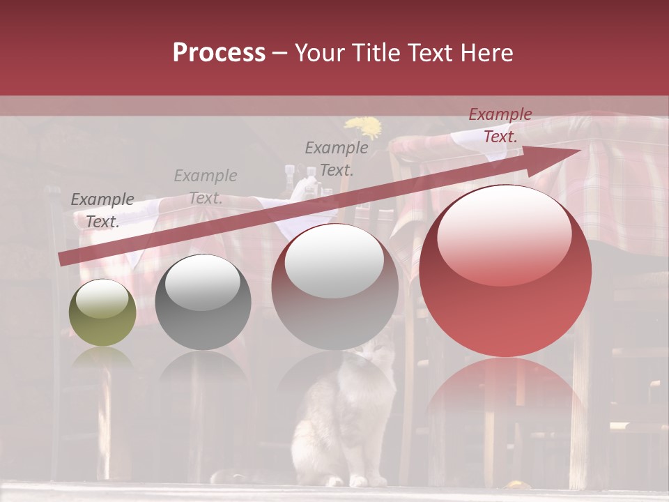 A Cat Sitting On The Ground In Front Of A Table PowerPoint Template