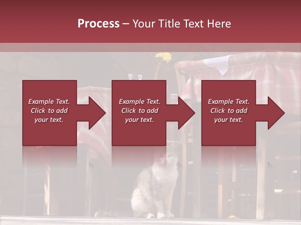 A Cat Sitting On The Ground In Front Of A Table PowerPoint Template