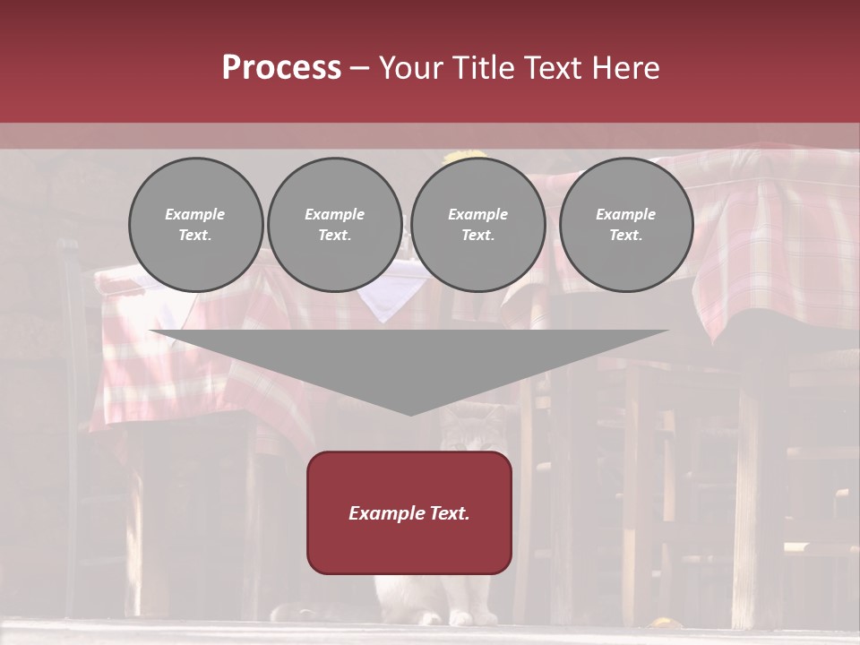 A Cat Sitting On The Ground In Front Of A Table PowerPoint Template