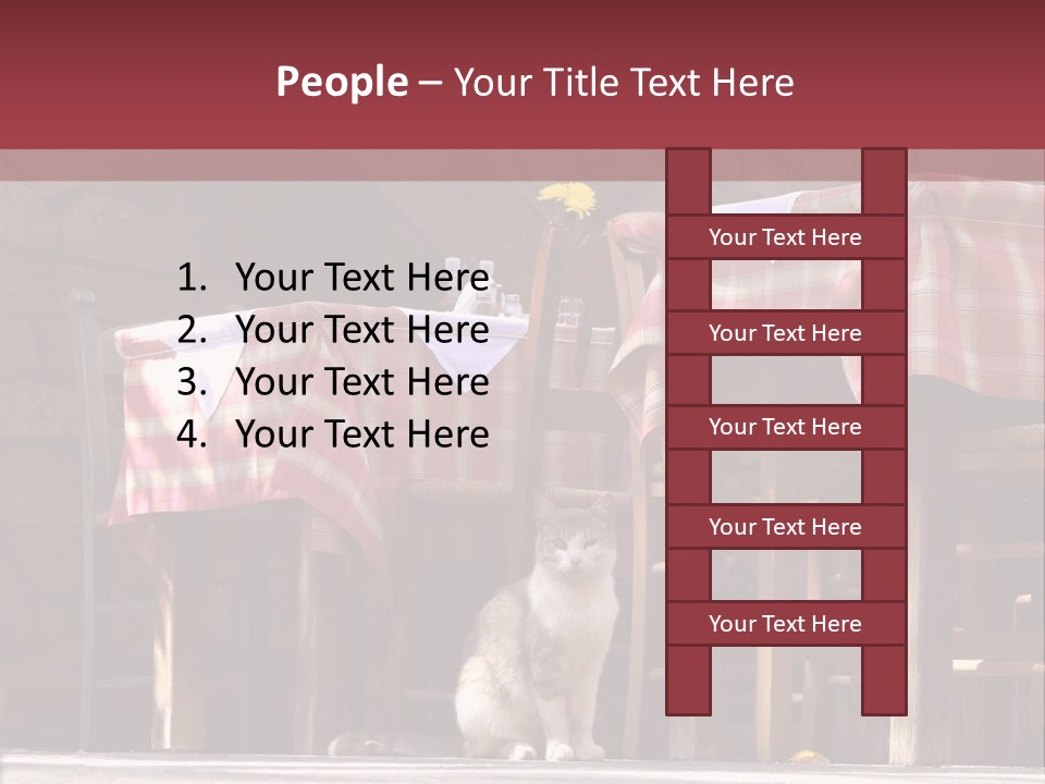 A Cat Sitting On The Ground In Front Of A Table PowerPoint Template